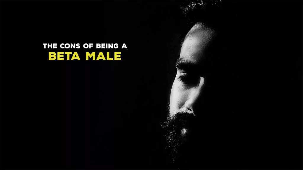 Beta Male Traits: 50 Key Characteristics in the Dating World - Loominglife